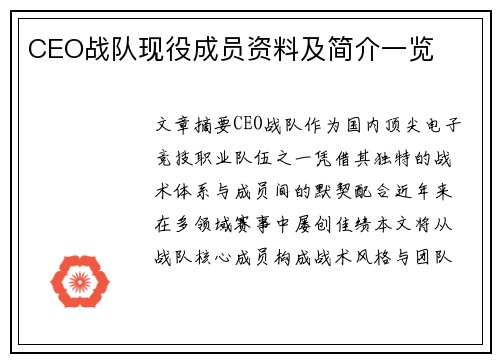 CEO战队现役成员资料及简介一览