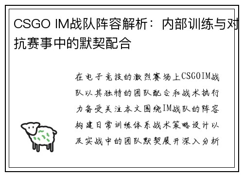 CSGO IM战队阵容解析：内部训练与对抗赛事中的默契配合