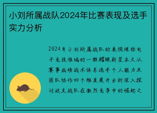 小刘所属战队2024年比赛表现及选手实力分析